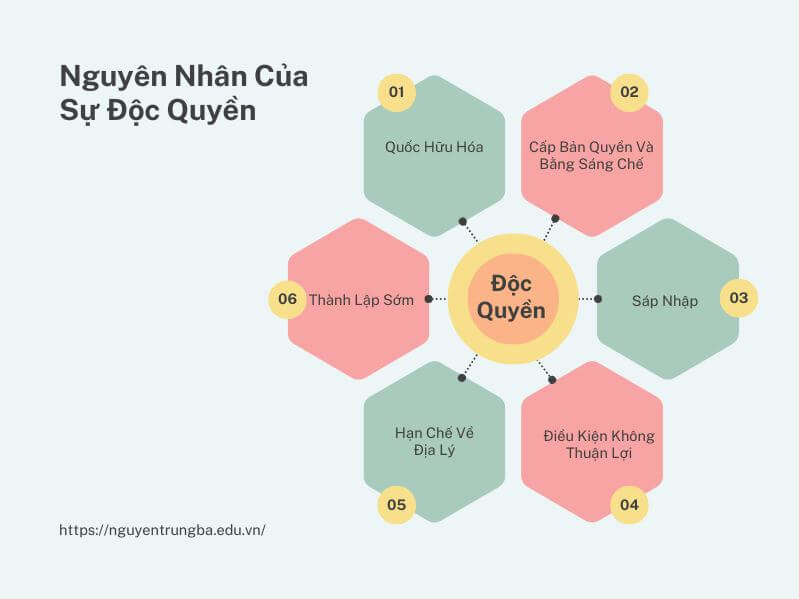 Ví dụ về độc quyền trong kinh doanh - Nguyên nhân của sự độc quyền