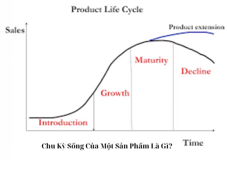 Ví dụ về chu kỳ sống của 1 sản phẩm - Chu kỳ sống của một sản phẩm là gì?