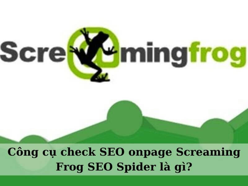 Công cụ check SEO onpage Screaming Frog SEO Spider là gì?