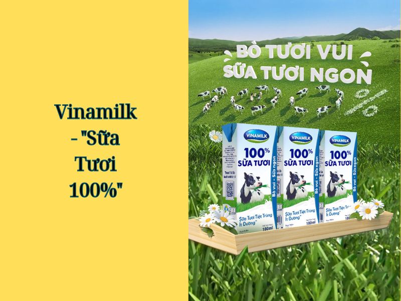 Các chiến dịch quảng cáo thành công ở Việt Nam - Vinamilk