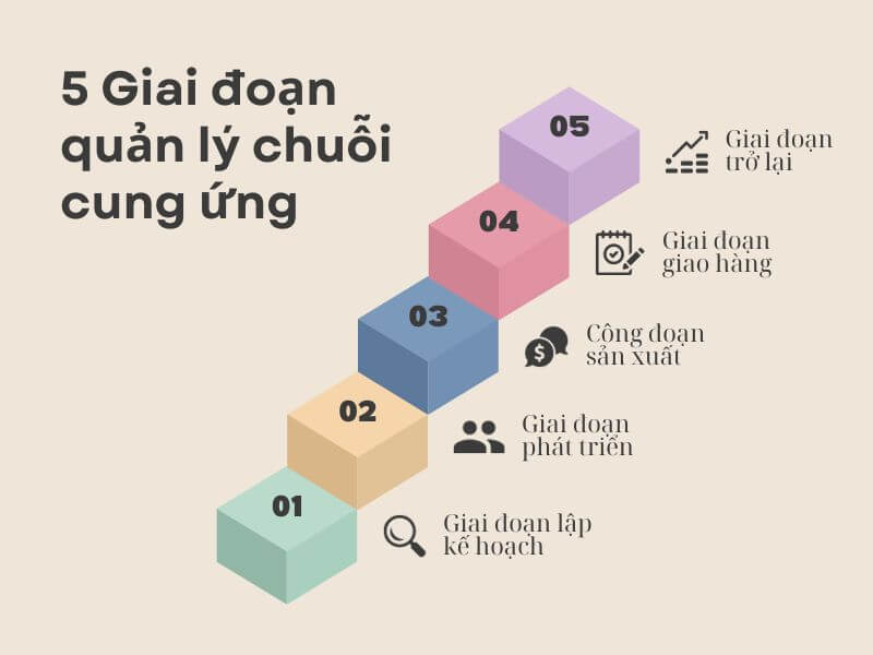 Ví dụ về chuỗi cung ứng của 1 công ty - 5 giai đoạn quản lý chuỗi cung ứng