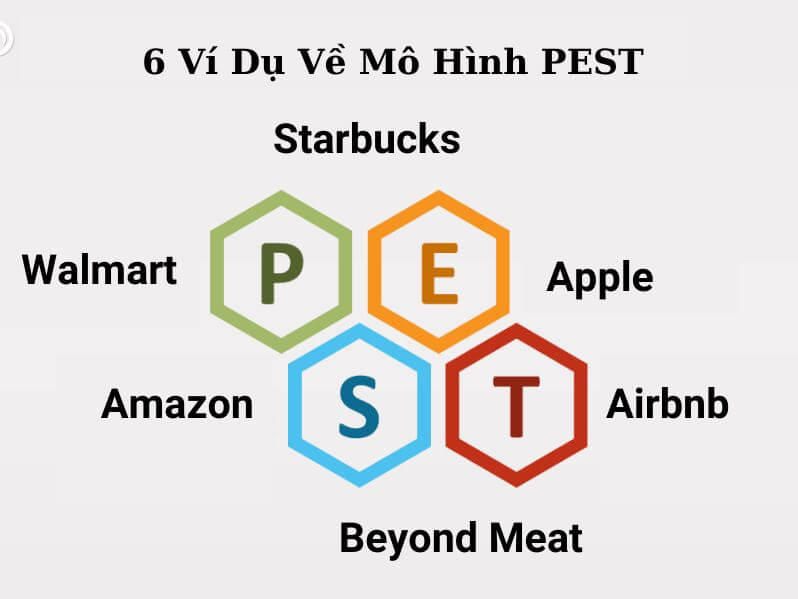 6 Ví Dụ Về Mô Hình PEST