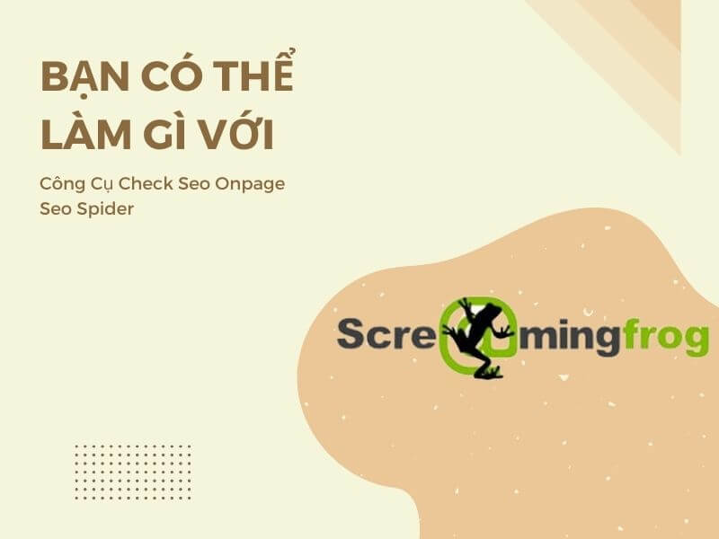 Bạn có thể làm gì với Công cụ check SEO onpage Screaming Frog SEO Spider