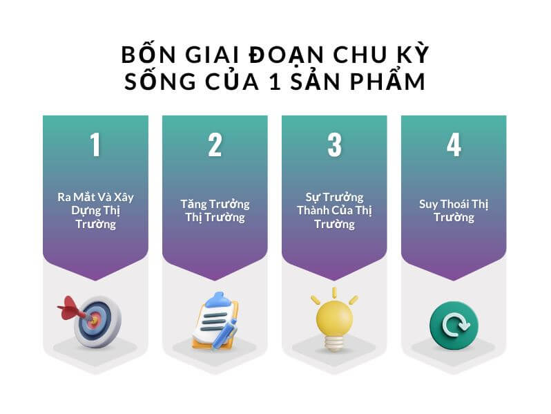 Ví dụ về chu kỳ sống của 1 sản phẩm - 4 giai đoạn chu kỳ sống của 1 sản phẩm