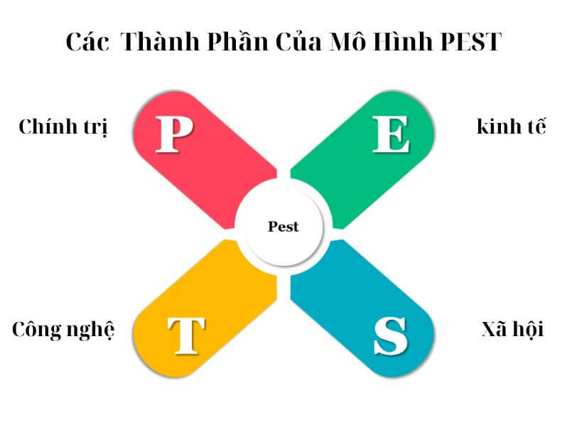 Ví Dụ Về Mô Hình PEST - Các Thành Phần Mô Hình PEST