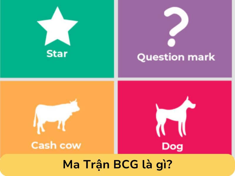 Ma Trận BCG Của Coca Cola Là Gì?