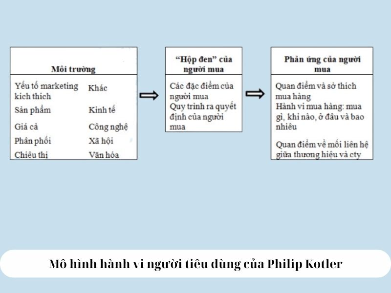 Mô hình hành vi người tiêu dùng của philip kotler