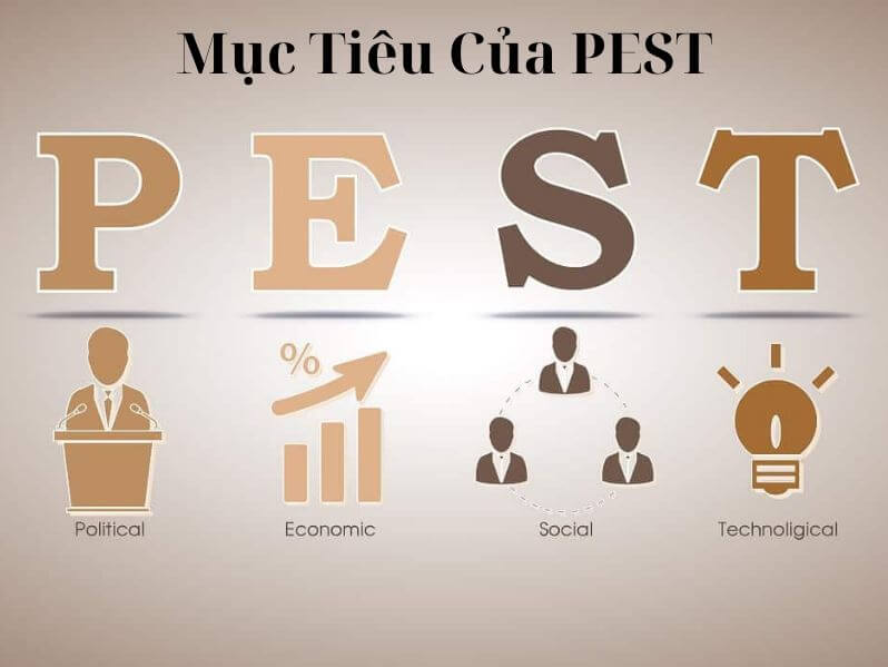 Ví Dụ Về Mô Hình PEST - Mục Tiêu Của PEST