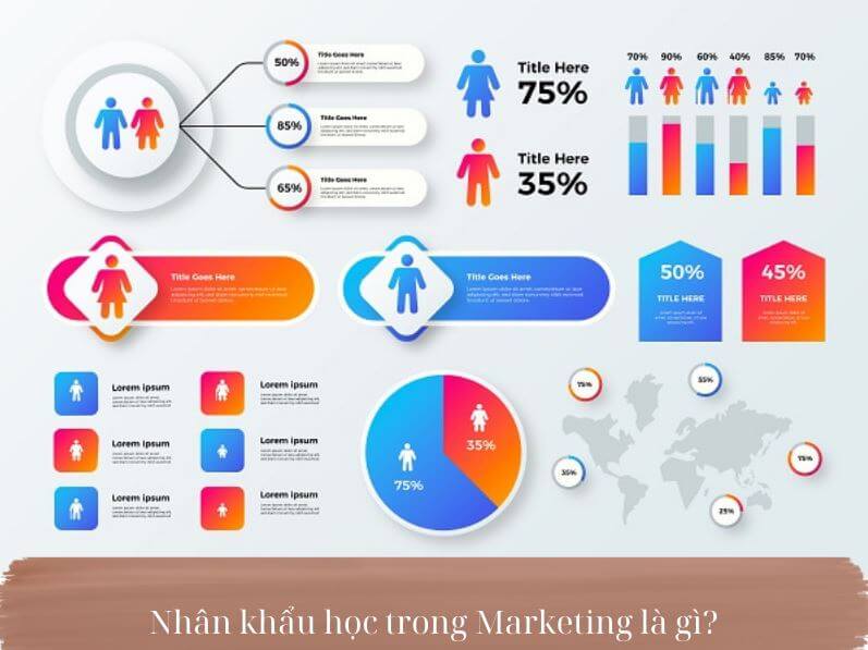 Nhân khẩu học trong Marketing là gì?