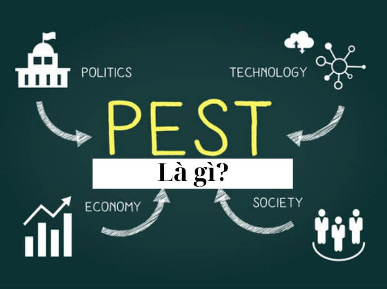 Ví Dụ Về Mô Hình PEST - PEST Là gì?