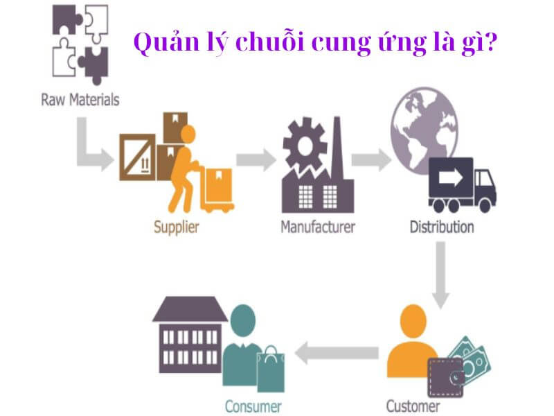 Ví dụ về chuỗi cung ứng của 1 công ty - Quản lý chuỗi cung ứng là gì?