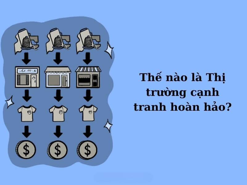 Ví dụ về thị trường cạnh tranh hoàn hảo - Thế nào là thị trường cạnh tranh hoàn hảo