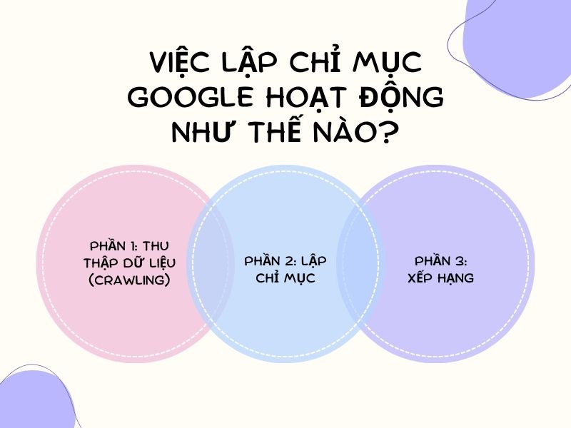 Lập chỉ mục google là gì? Việc lập chỉ mục google hoạt động như thế nào?