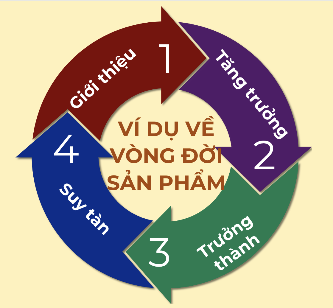 Ví dụ về dòng đời sản phẩm