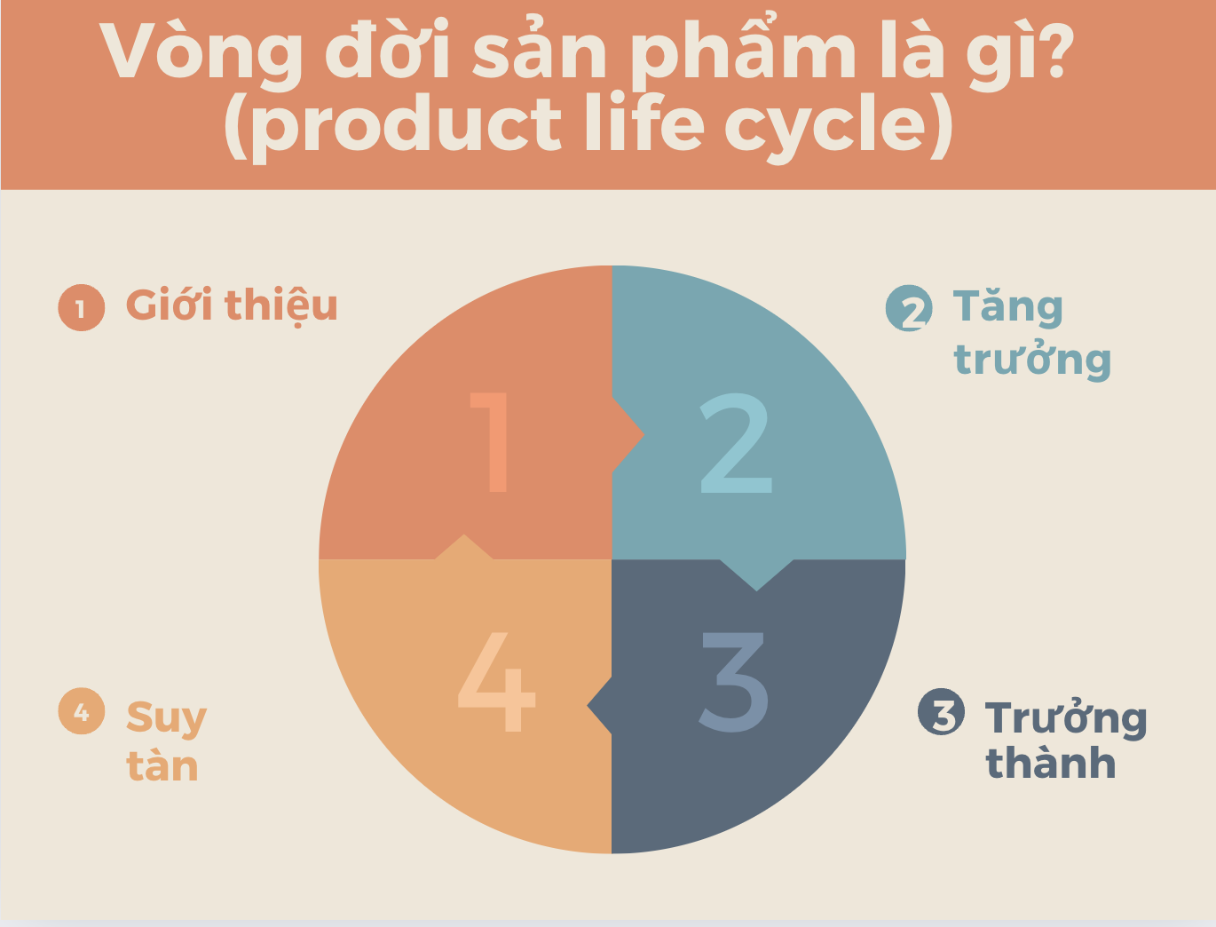 Vòng đời sản phẩm là gì